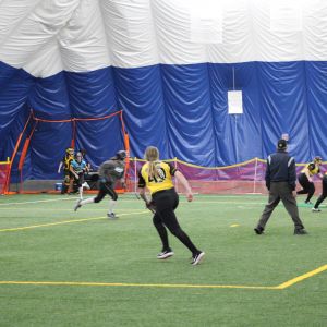 thumbnail image of Sports Venues