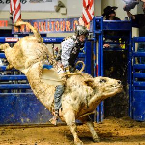 thumbnail image of Sports Venues