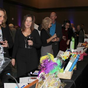 thumbnail image of Annual Dinner Silent Auction 