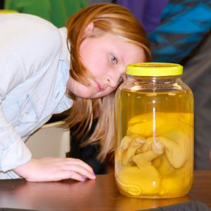 thumbnail image of A kid checking out an animal in a jar