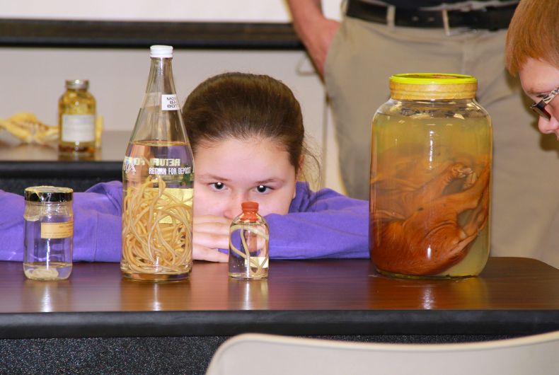 A kid looking into a small bottle