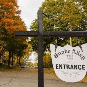thumbnail image of Snake Alley Entrance Fall