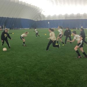 thumbnail image of Sports Venues