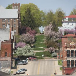 thumbnail image of Snake Alley Far Shot