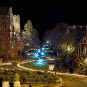 thumbnail image of Snake Alley Winter Lights