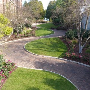 thumbnail image of Snake Alley 3