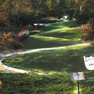 thumbnail image of Snake Alley