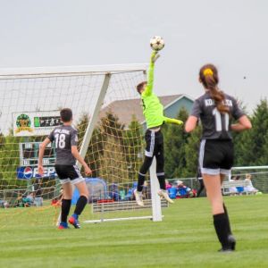 thumbnail image of Sports Venues